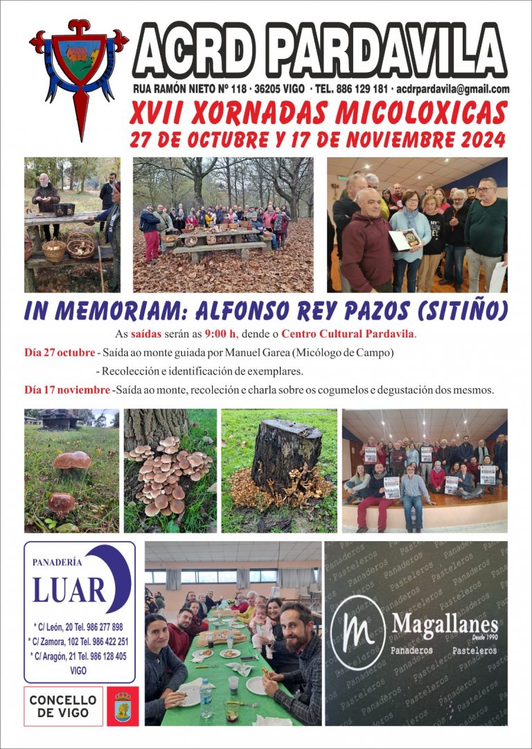 2024 – foto 2